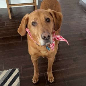 Meet your Posher, Nichole